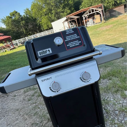 WEBER Spirit E-210 2-Burner Liquid Propane Gas Grill