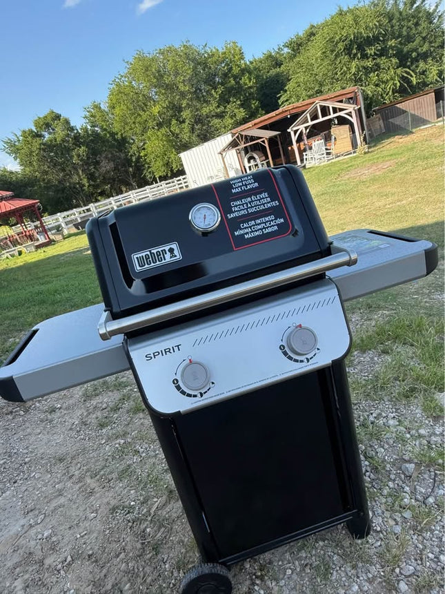 WEBER Spirit E-210 2-Burner Liquid Propane Gas Grill