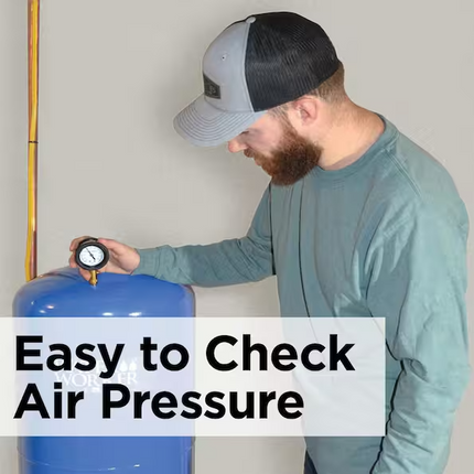 WATER WORKER 20 Gal. Pressurized Well Tank
